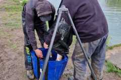 438037574_935766458552556_4688773409008725256_n