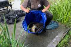 450677415_997716165690918_3392913661070628081_n